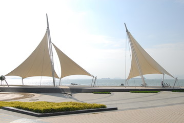 黑美人西瓜为什么叫黑美人