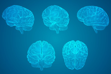 马桶打胶后12小时就用了有影响吗马桶打胶多久能冲水