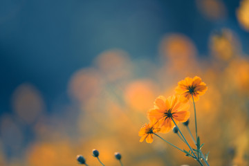 仪式感转账从1到10