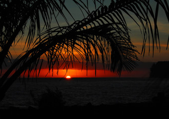 QWQ QAQ类似的这些表情都代表什么意思？