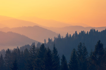 快递公司最怕怎么投诉他们