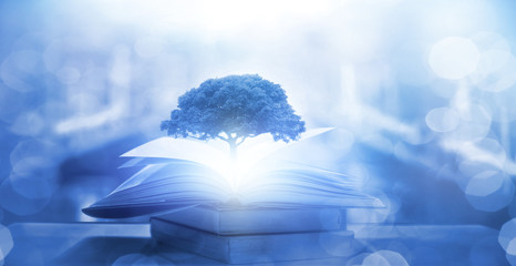 CTM 防骑拉怪循环 手法