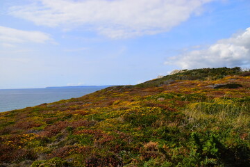 QQ空间的显示不全啊
