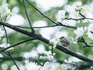 快递公司最怕怎么投诉他们