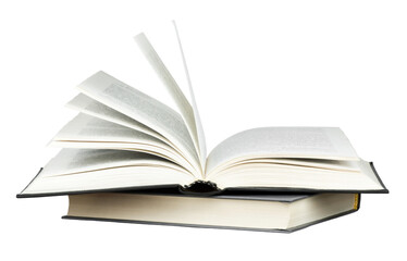 黑美人西瓜为什么叫黑美人