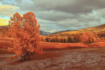 快递公司最怕怎么投诉他们