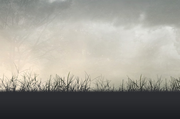 黑美人西瓜为什么叫黑美人