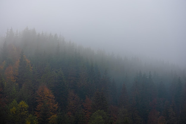 仪式感转账从1到10