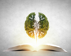 CTM 防骑拉怪循环 手法