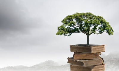 济南公交的线路一览