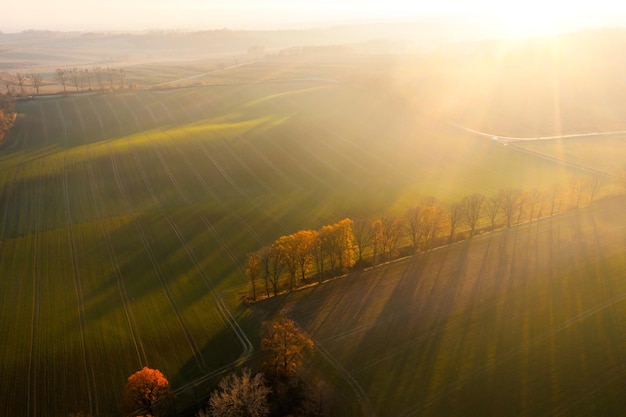 黑美人西瓜为什么叫黑美人