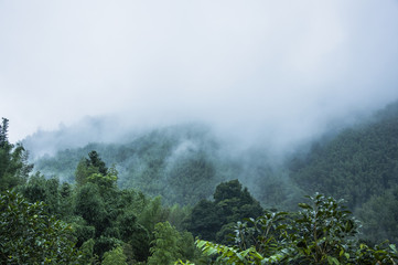 仪式感转账从1到10